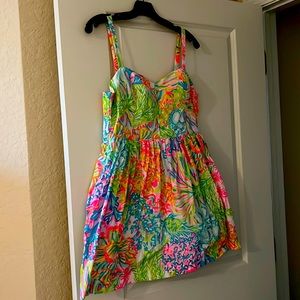 Adorable Lilly Pulitzer fit and flare dress  size 12